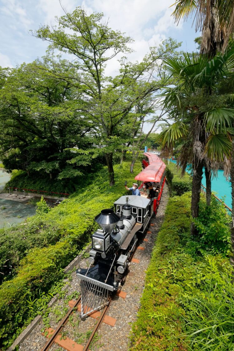 レオとライヤの夕日列車は緑豊かなロケーションを走る。