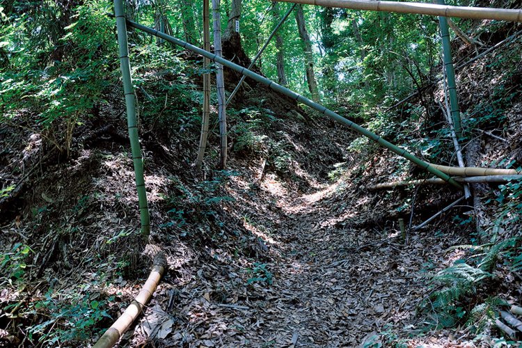 竹藪の中を通る江戸巡礼古道。