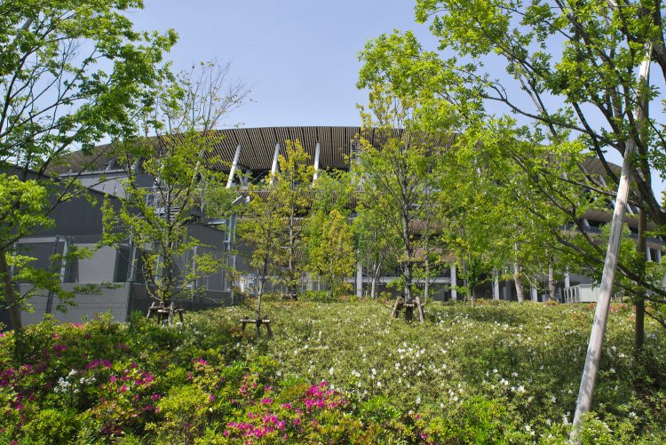 木材を多用し外観にも植栽を配した建築。敷地内の樹木も美しく育った。