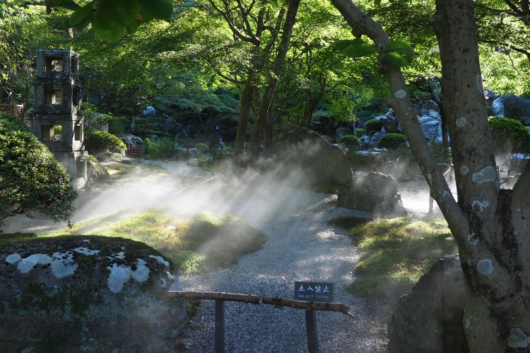 【東京×公園】ここでのんびりするのが好き…そんな公園、教えてください