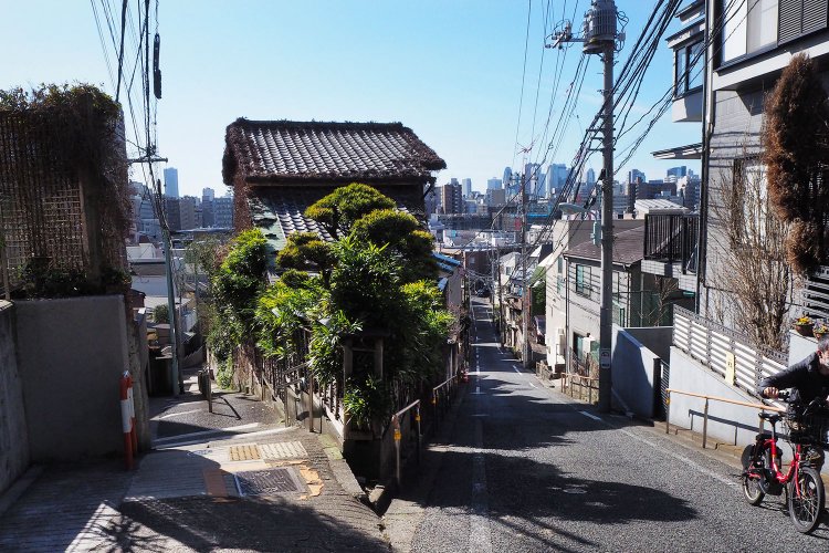 【東京×坂・階段】凸凹地形がつくる美しき風景を記録せよ