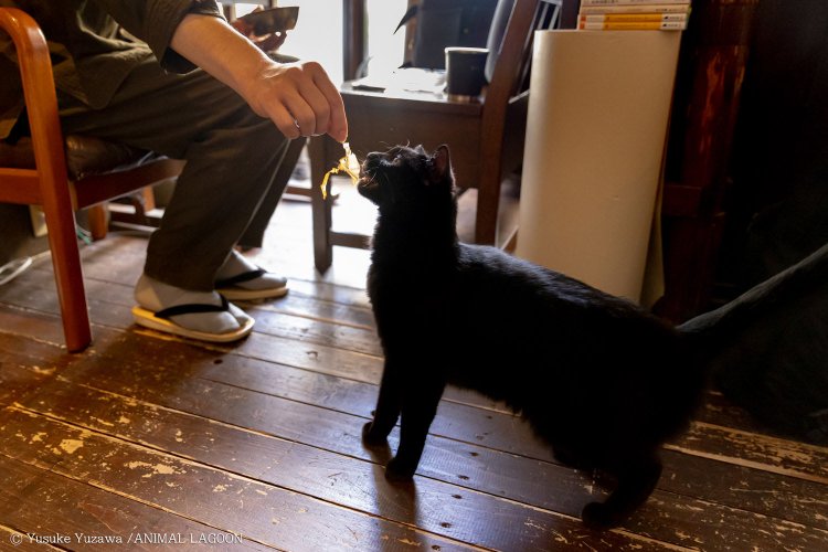 喫茶サロン ことたりぬ