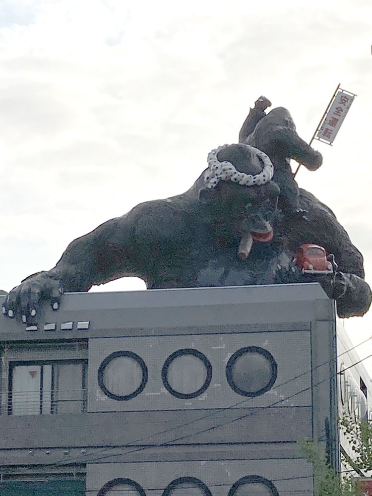 反対側から見ると、車を手に持った親ゴリラが（喜多見・2021年）