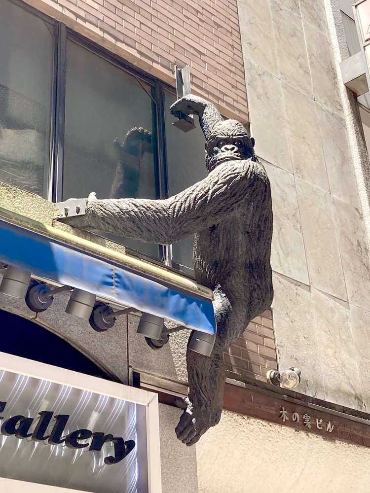 控え目な感じに壁をよじ登るゴリラだが、なぜここにいるのかはわからない（銀座・2021年）