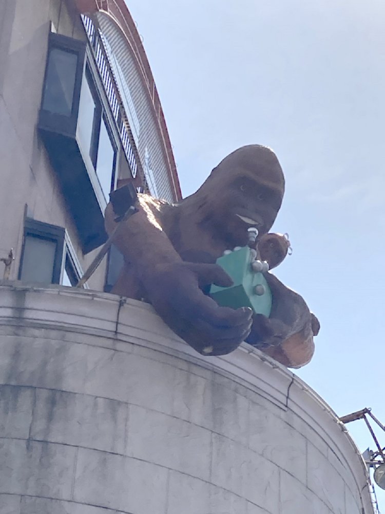 ゴリラとパチンコ店は相性が良いのだろうか（北砂町・2021年）