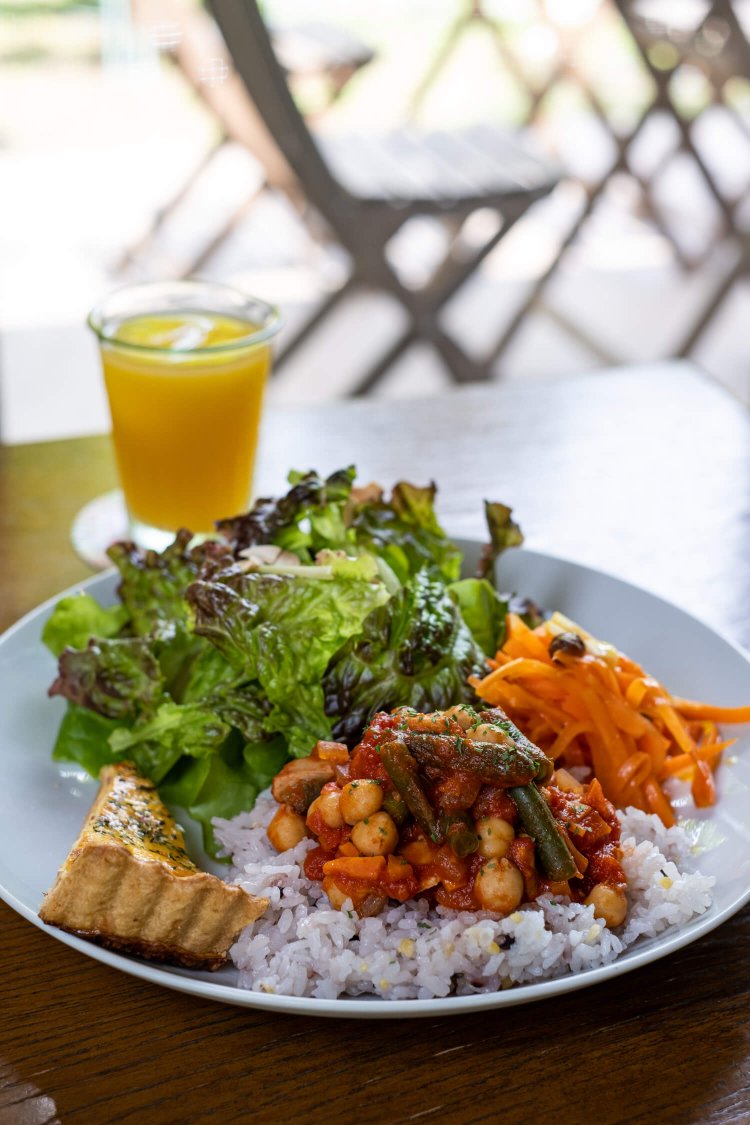 雑穀米の上にひよこ豆のトマト煮がのったランチの定番メニュー。