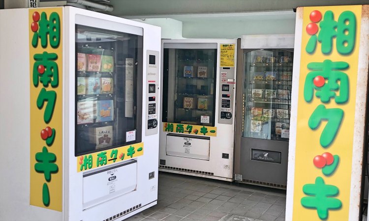 『湘南』とはどこからどこまでか？