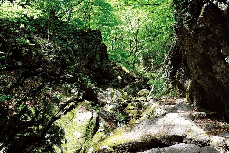 岩石園（ロックガーデン）は御岳沢沿いの遊歩道で、全長1.5km。1935年に整備された。