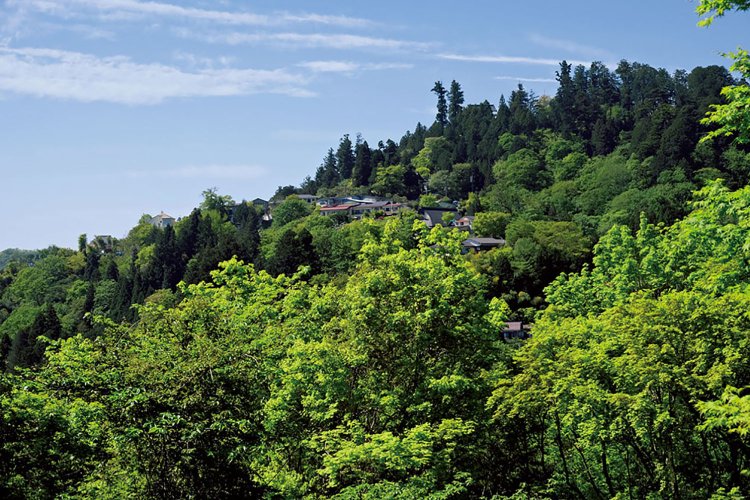 御岳山山頂周辺にある山上集落。宿坊などがある。