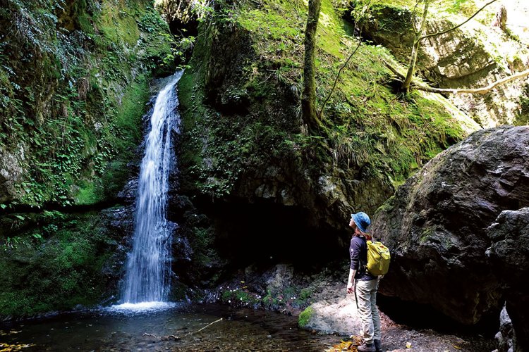 全7段で落ちる七代の滝。全体では50mの落差があるが、見える部分は数メートルほど。