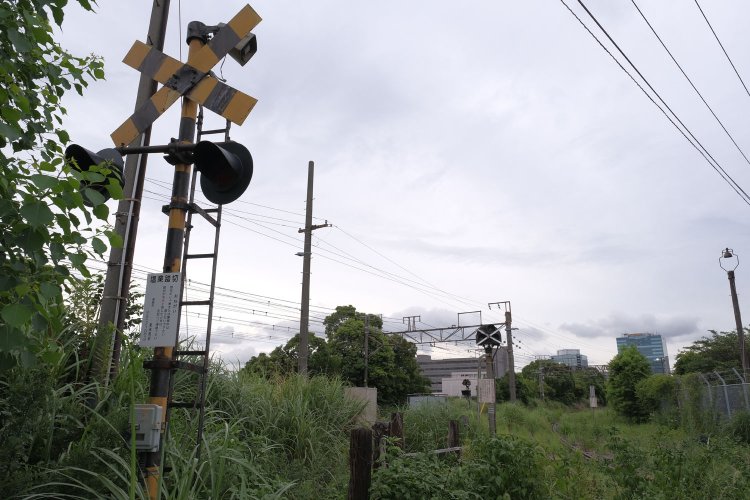 警報機は草木に埋れつつある。ここの警報機が鳴ることはもうない。