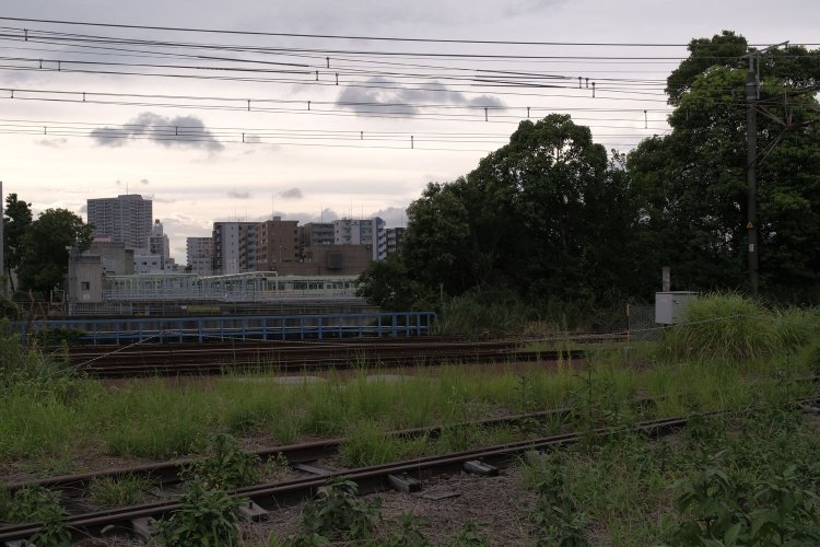 手前が専用線の線路。奥は高島貨物線。