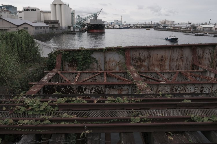 橋端部。主桁は端部から緩やかな斜め角度がついている。蔦が絡まってきているものの溶接構造なのがわかる。