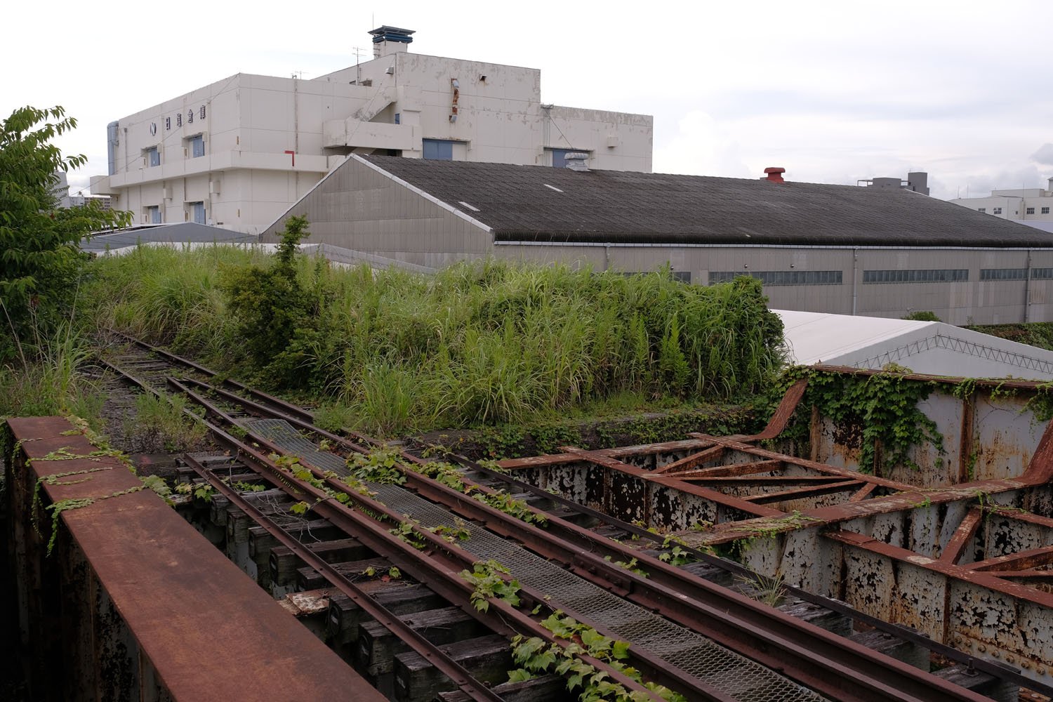 専用線が瑞穂橋に差し掛かるところ。右側は線路が敷かれた痕跡があるような無いような、はっきりと分からなかった。敷設していたとしたら、等間隔に並ぶ枕木の跡が縦桁に残っている場合がある。