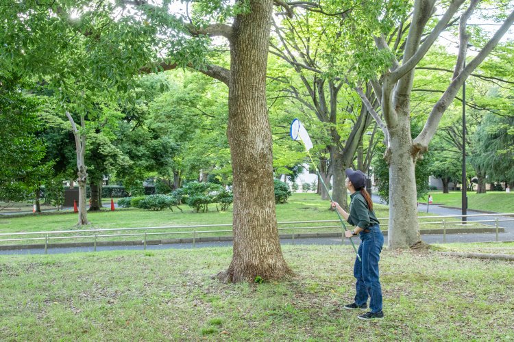 悟られぬように気配を消して距離を詰める。