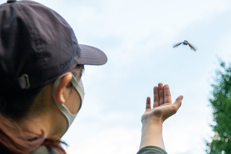 最後は優しく返そうね。