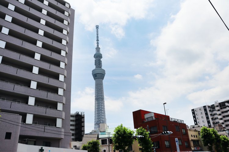 どこからでもたいてい見えるスカイツリーは、その後も道に迷った時の目印になった。