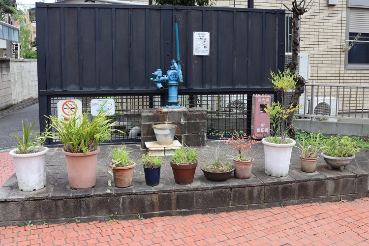 青い井戸は、災害時の水源として活用される「路地尊」。前には鉢植えがズラリ。