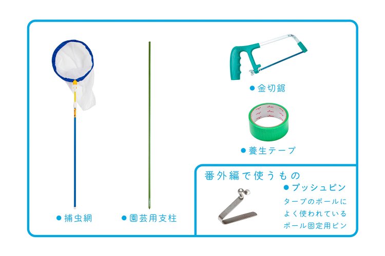 【大人の夏休み】本気でセミ捕りに挑む