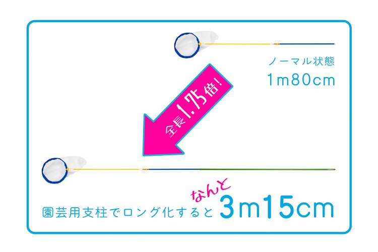 これで高所のセミも一撃！