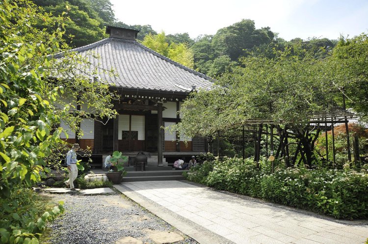 一年中花が楽しめる光則寺。