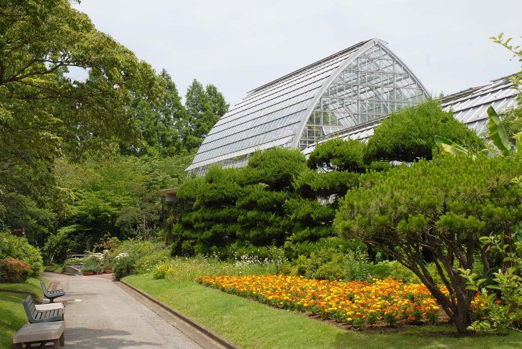 05_見沼園芸植物園