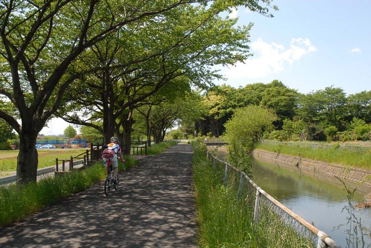 東浦和駅からはじめる東浦和・見沼さんぽ 〜見沼代用水の自然と歴史を楽しむ散歩道〜