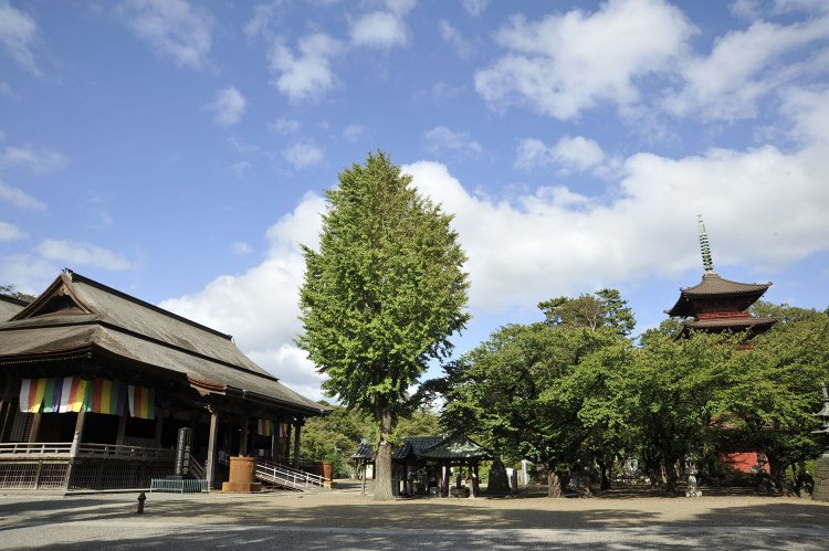 中山法華経寺（なかやまほけきょうじ）