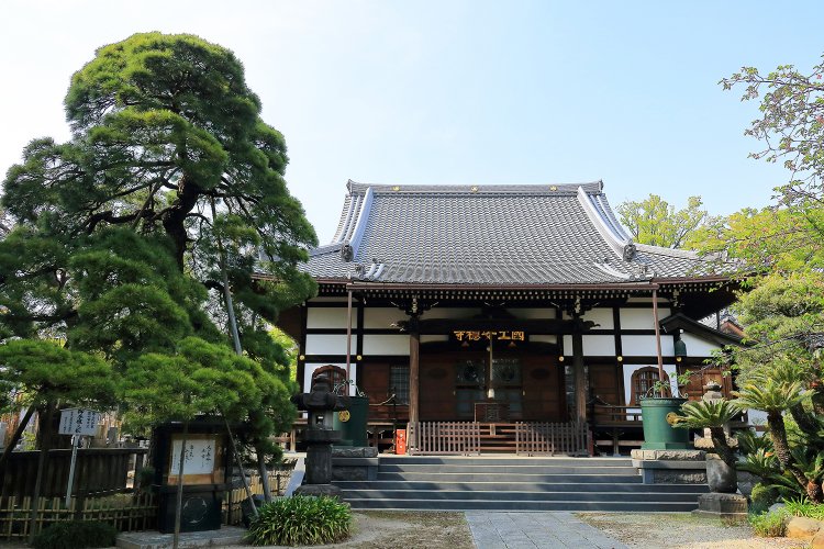 03_国土安穏寺　本堂