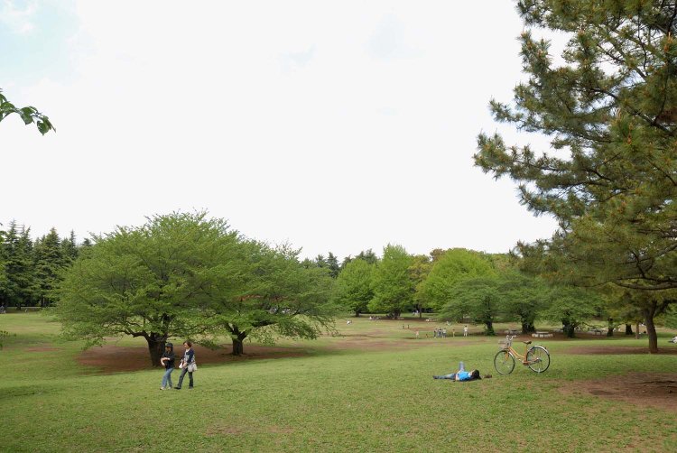 13_光が丘公園 (大)