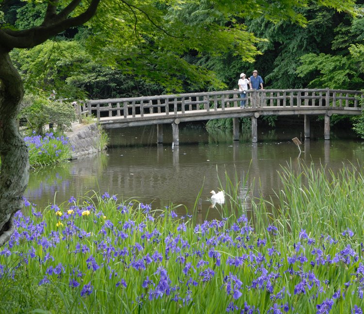 石神井公園駅からはじめる石神井・武蔵関・東伏見さんぽ〜3つの池を結ぶ石神井川沿いの水辺散歩〜