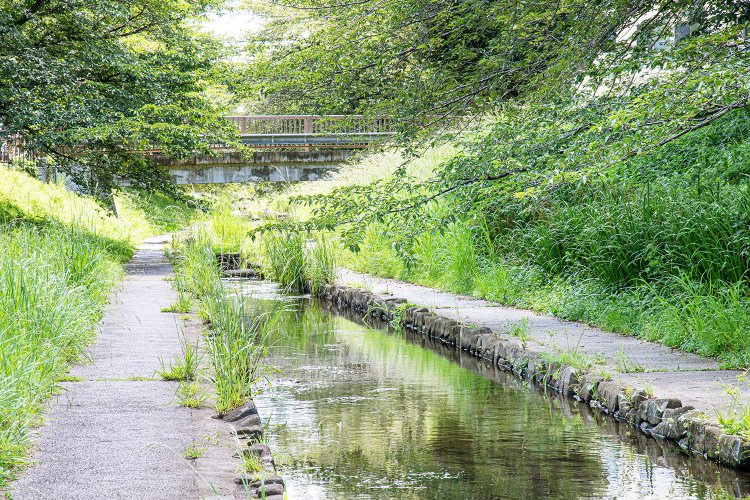 横浜市を流れるせせらぎ。近所にこういった場所はないだろうか。
