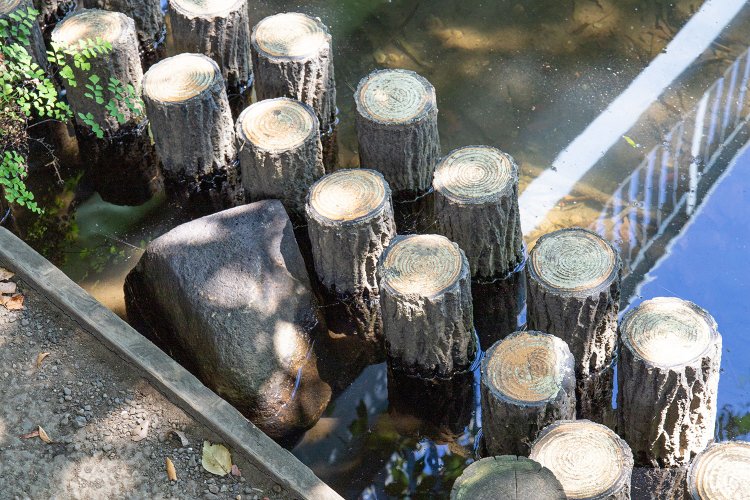 ザリガニが身を潜めそうな石積みの隙間等、障害物周りを丹念に狙おう。