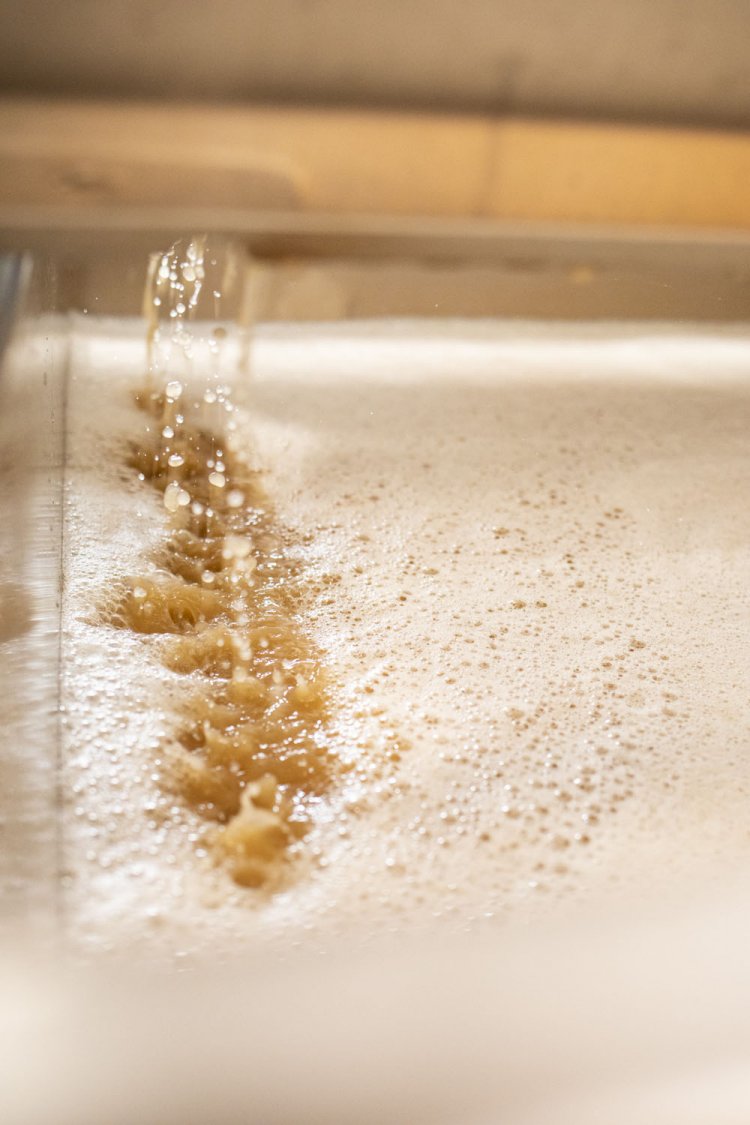 圧搾機ではゆっくりと時間をかけてブドウを搾り、下部から果汁のみを抽出する。