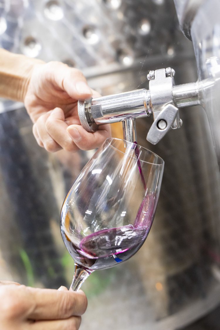 瓶詰めを待つワイン「富士の夢」。