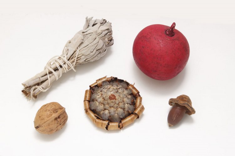 植物の種や実など50円～。駄菓子感覚で1つから買えるドライフラワーやドングリやクルミなどの実。さり気なく部屋に飾ってみたい。