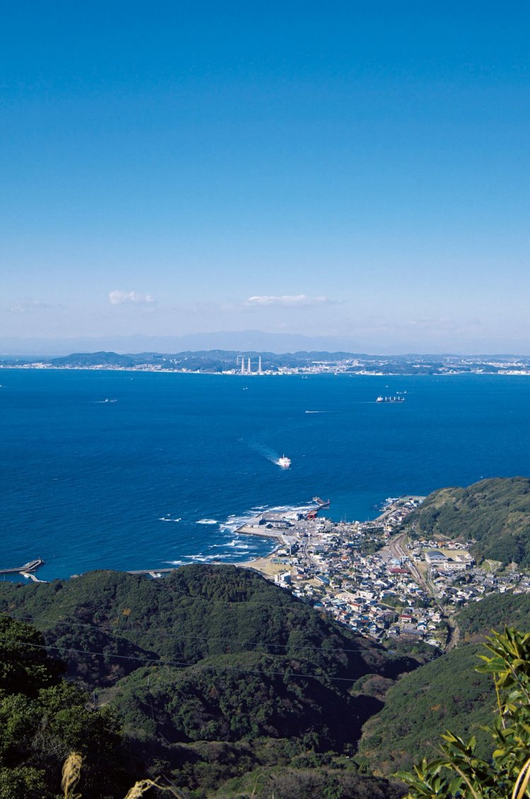 東京湾を望む展望台からの眺め。金谷の街と久里浜を結ぶフェリーが見えた。これぞ低山の名峰。