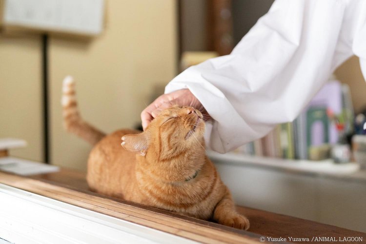 とっても気持ち良さそうな表情。見ているだけで和みますね。