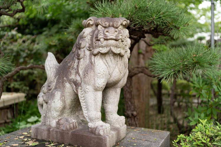 子供の頃は狛犬とキツネが怖くて苦手でした。