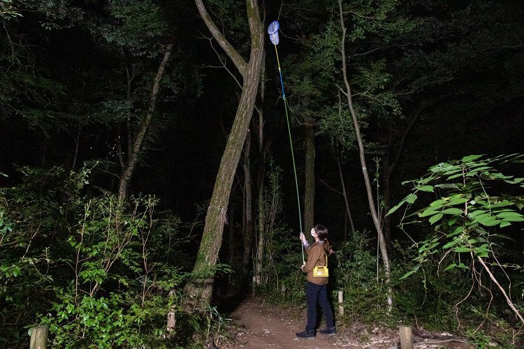 これがスーパーロング捕虫網！