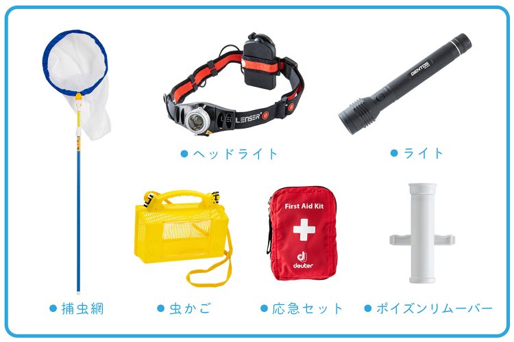 ライトは明るさが命。予備のバッテリーも忘れずに。