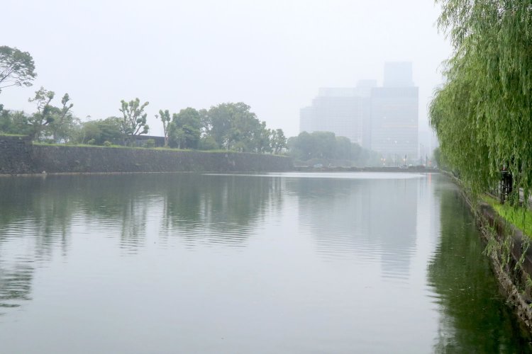 日比谷交差点付近の内堀。