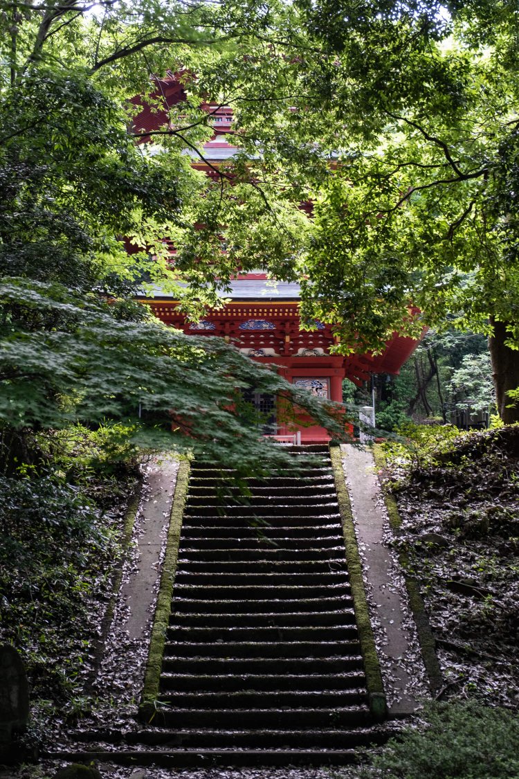 うっそうと生い茂る木々の向こうに高勝寺の三重塔が見えてくる。