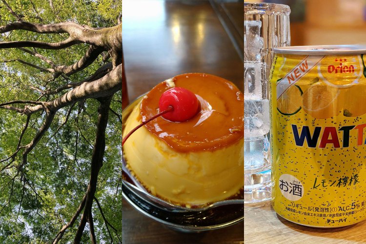 至福の公園、むっちりプリン、沖縄酒場、そして迷コンビ看板……投稿「こりゃいいぜ！」を紹介します【投稿ピックアップ】