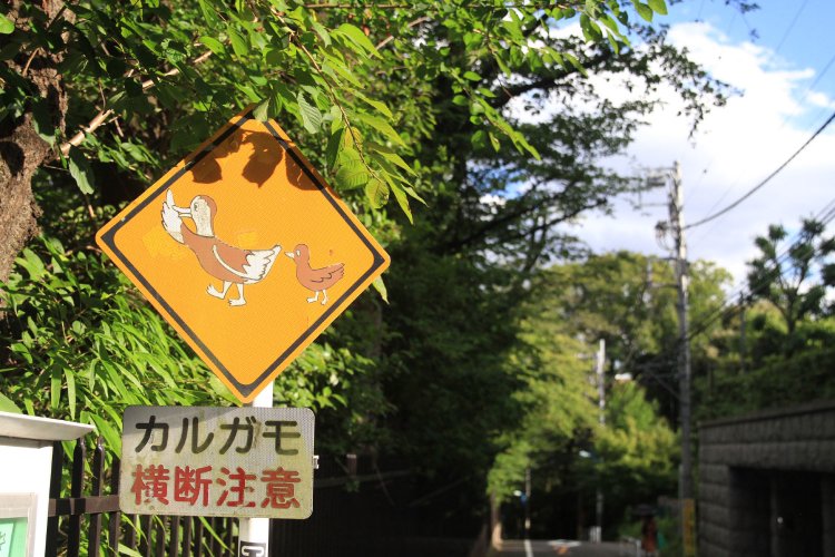 「グランドヒルズ目白御留山」の前にはこんな標識も。自然豊かな証。