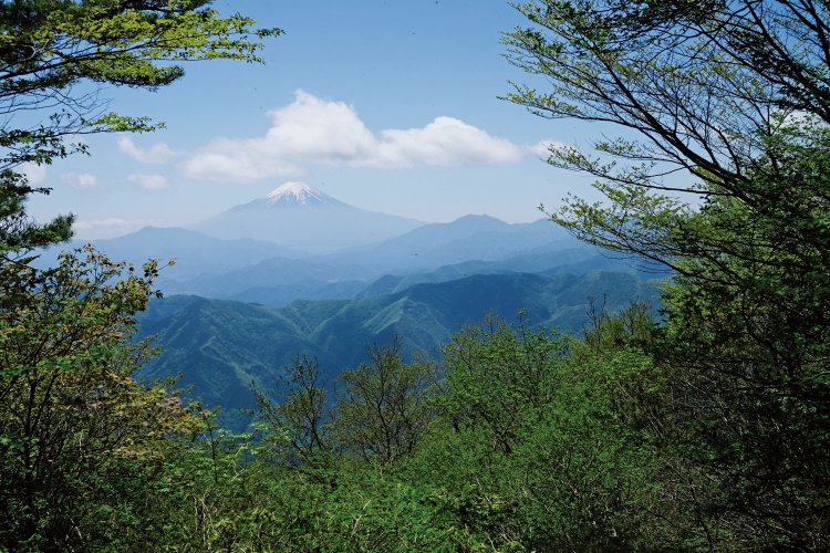 西峰からの眺望。三頭山の３つの山頂では、ここが一番の展望。
