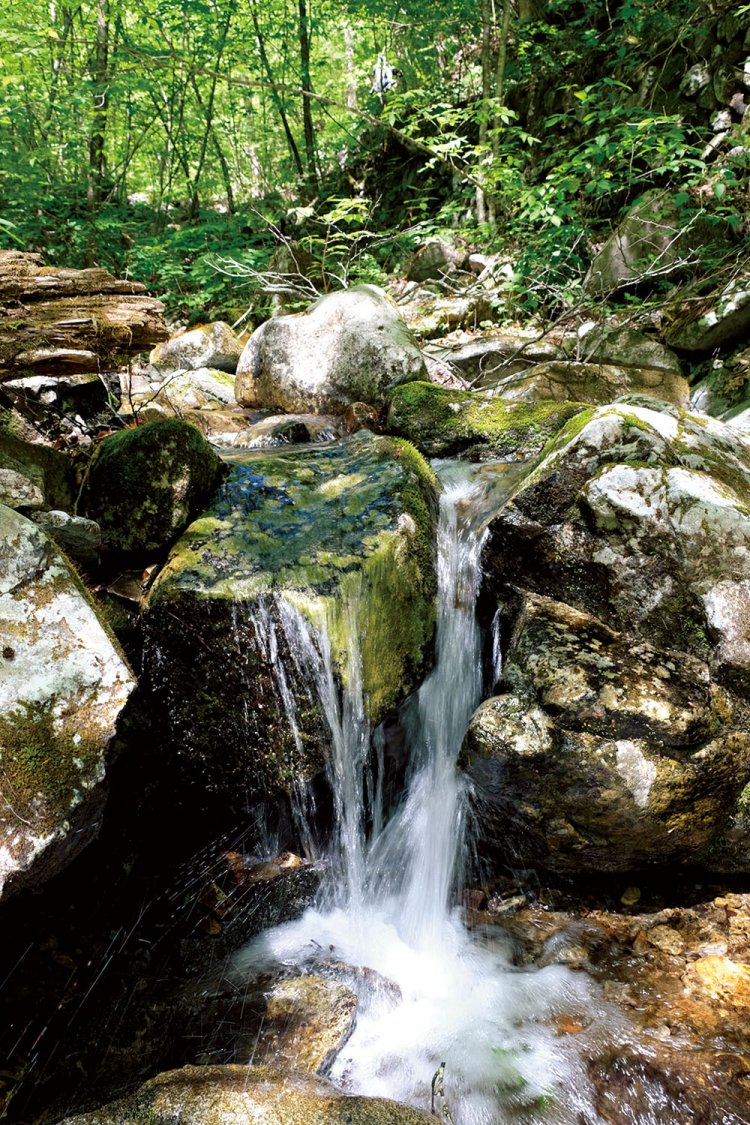 三頭大滝の上流部の三頭沢の流れ。南秋川に注ぐ。