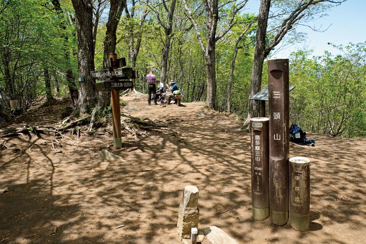 三頭山の西峰山頂。最高峰は中央峰だが、こちらが一般的に三頭山山頂といわれる。