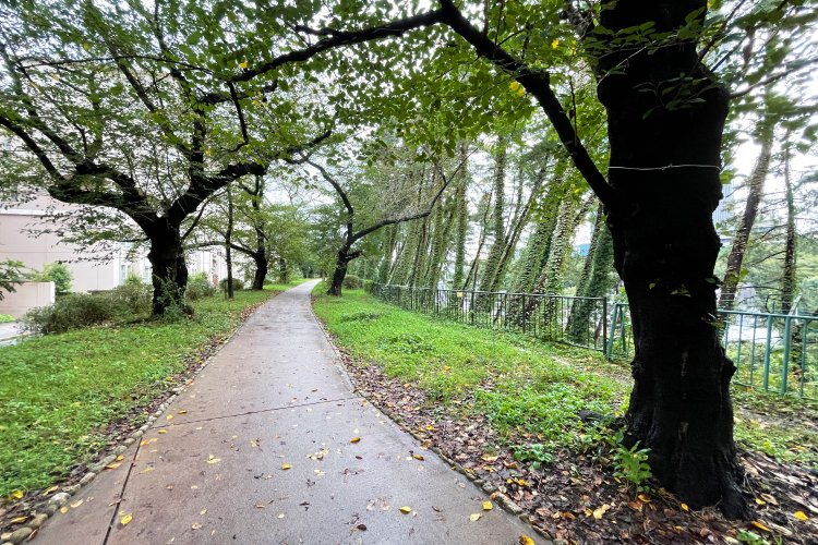 飯田橋駅から四ツ谷駅付近まで、約2kmにわたり土手沿いにつくられた外濠公園。桜の名所としても有名。