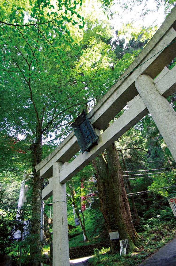 ケーブルカー滝本駅の左側が表参道の入り口。鳥居をくぐって足で御岳山に上がる。今回は人力で、ごまかしなし。